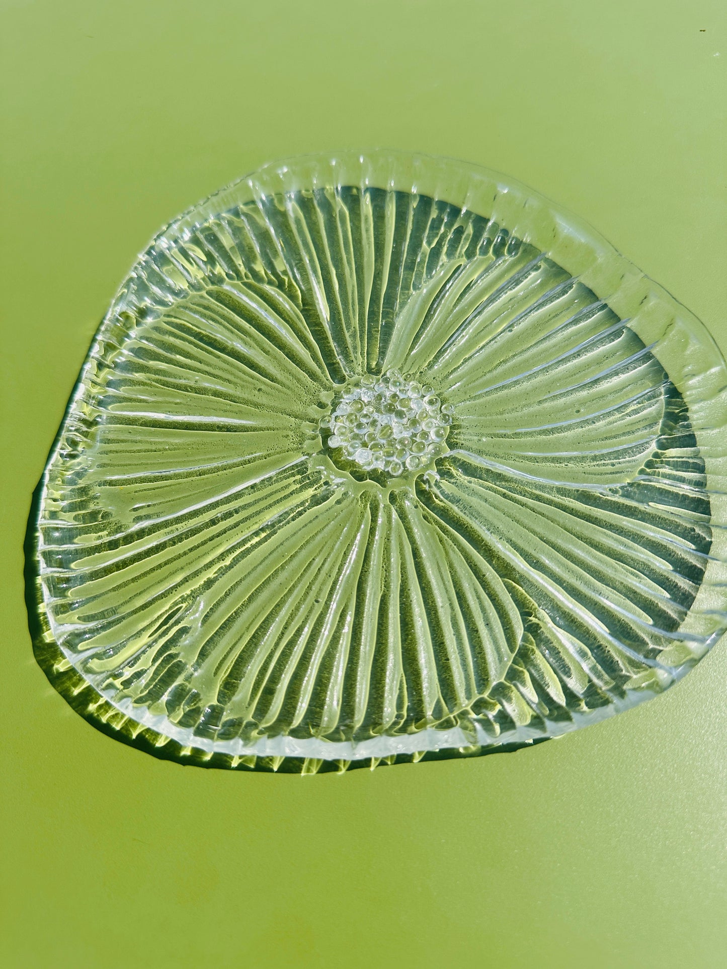 PRE ORDER -Crystal Clear Fused Glass Dish