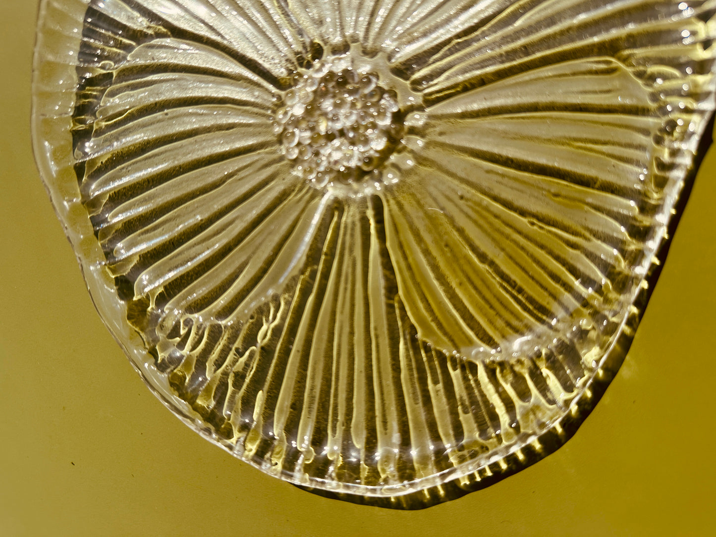 PRE ORDER -Crystal Clear Fused Glass Dish