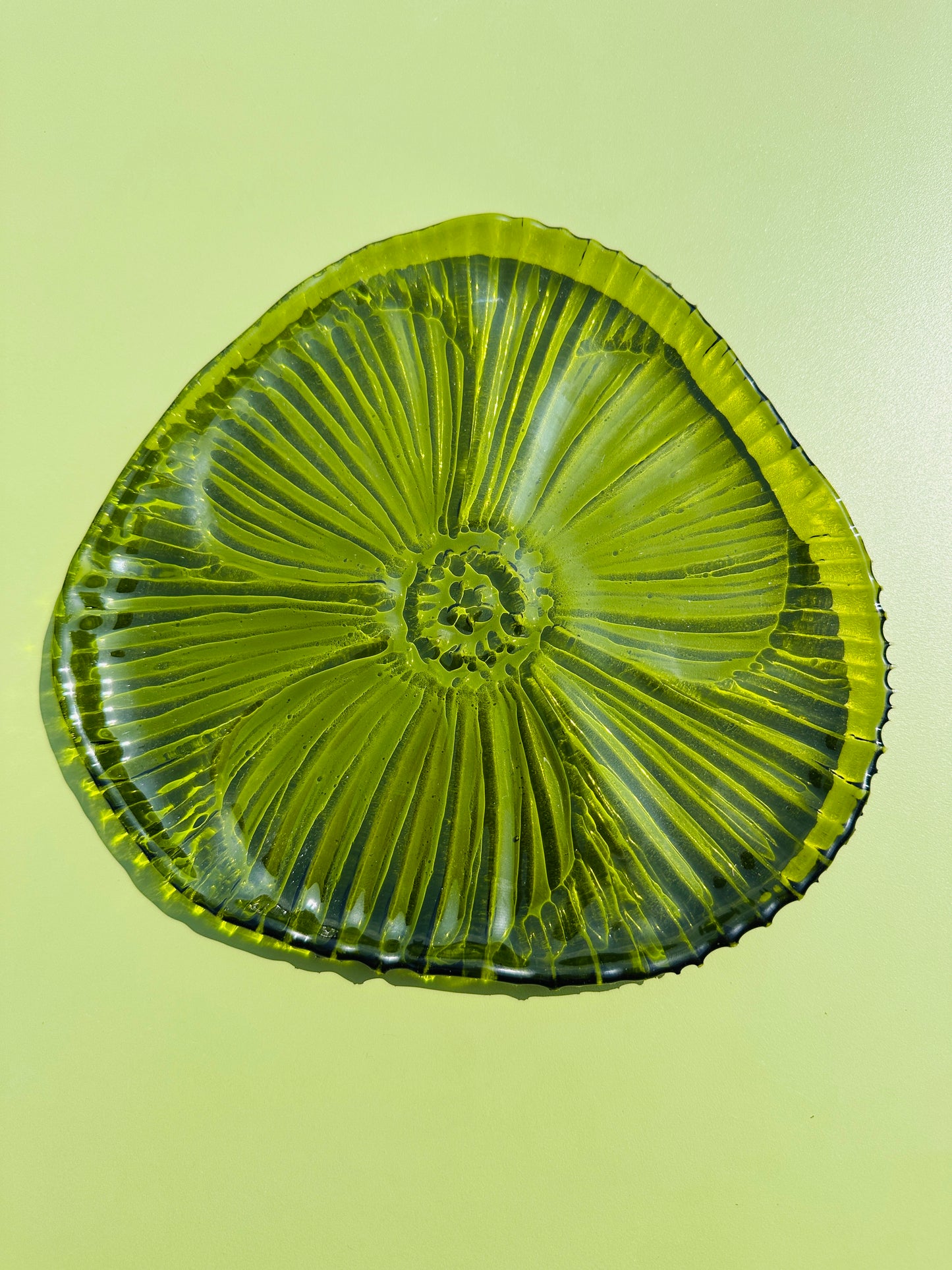 PRE ORDER - Fern Green Fused Glass Dish