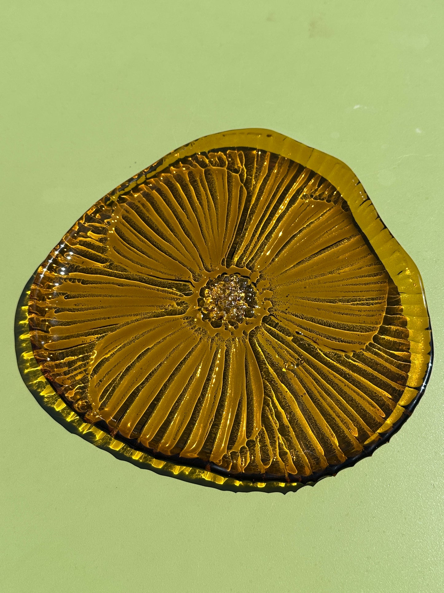 PRE ORDER - Golden Amber Fused Glass Dish