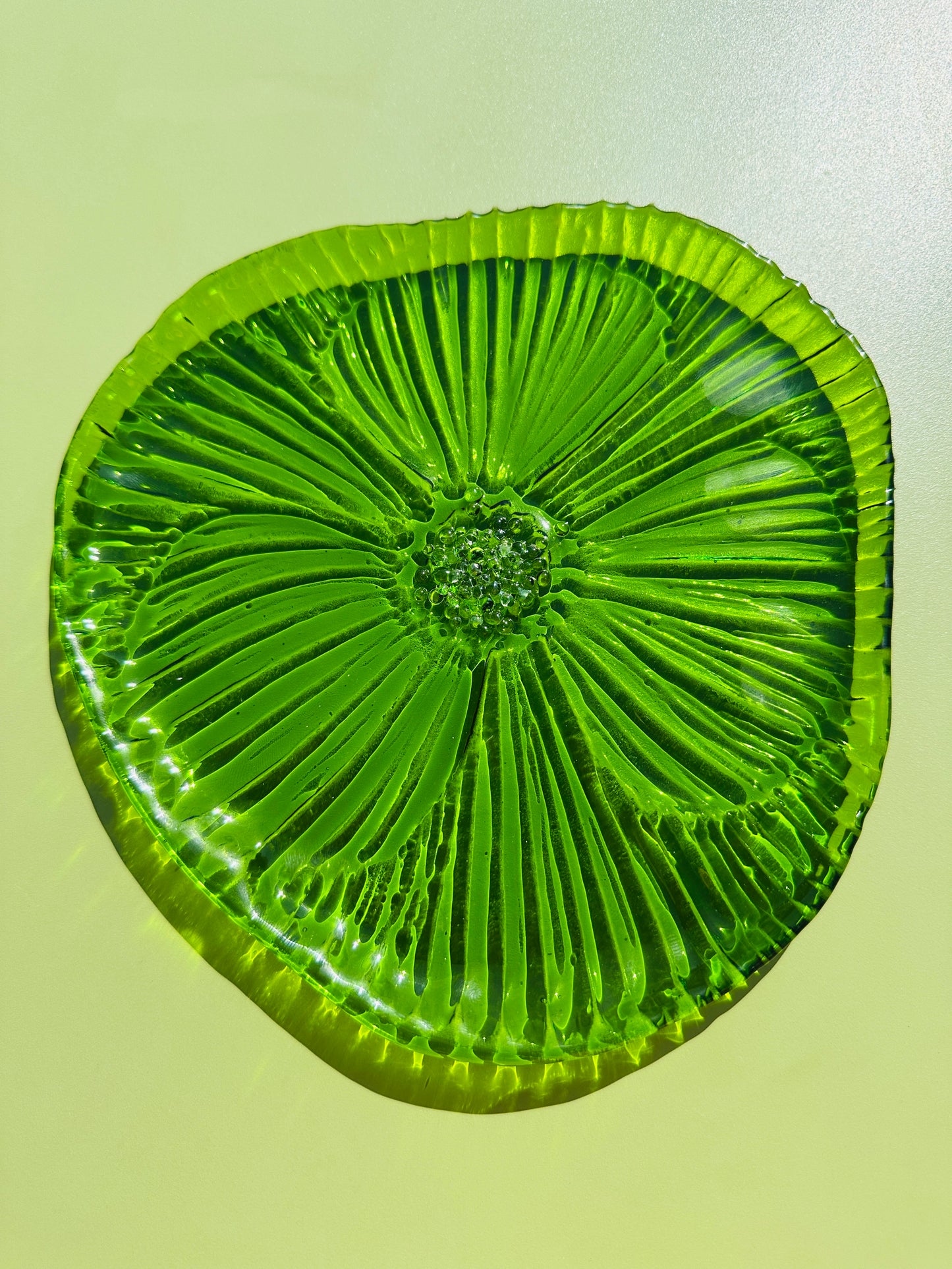 PRE ORDER - Spring Green Fused Glass Dish