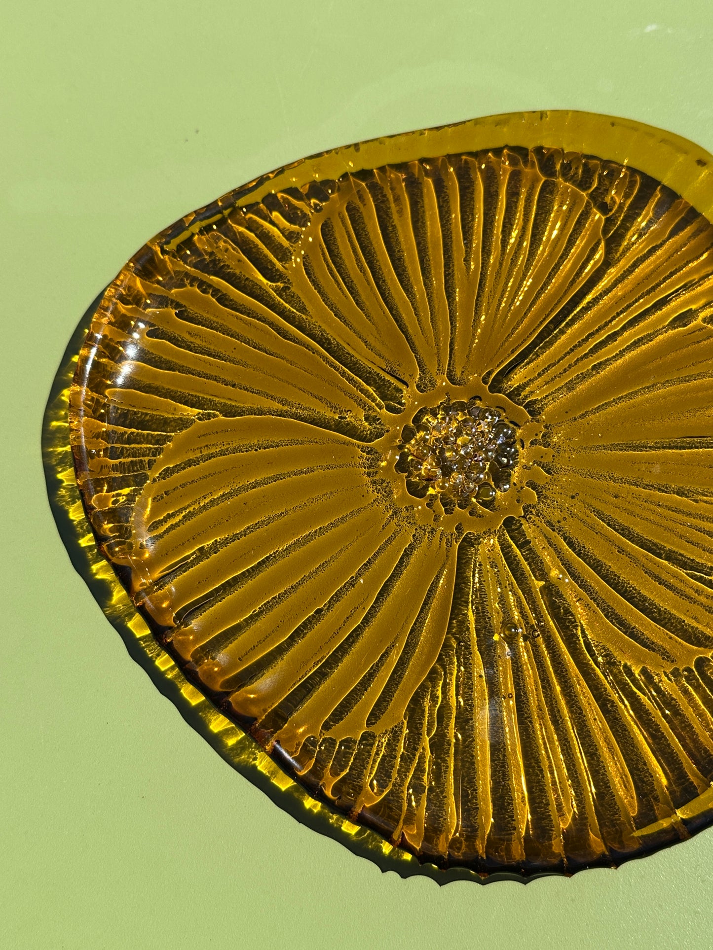 PRE ORDER - Golden Amber Fused Glass Dish