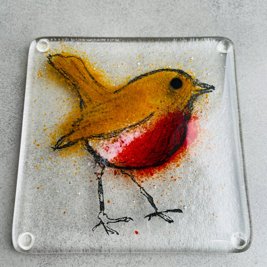 Robin Coaster