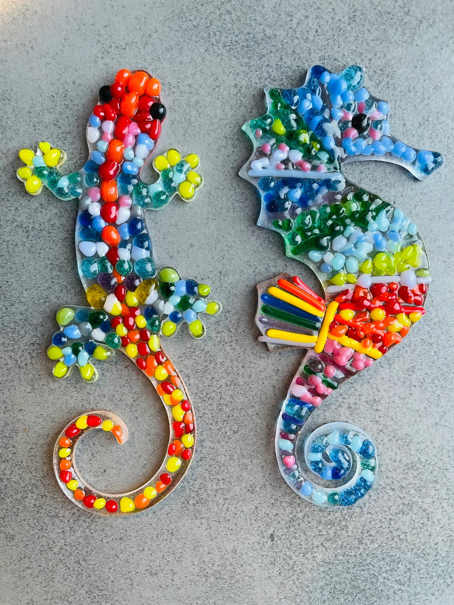 Seahorse Kit