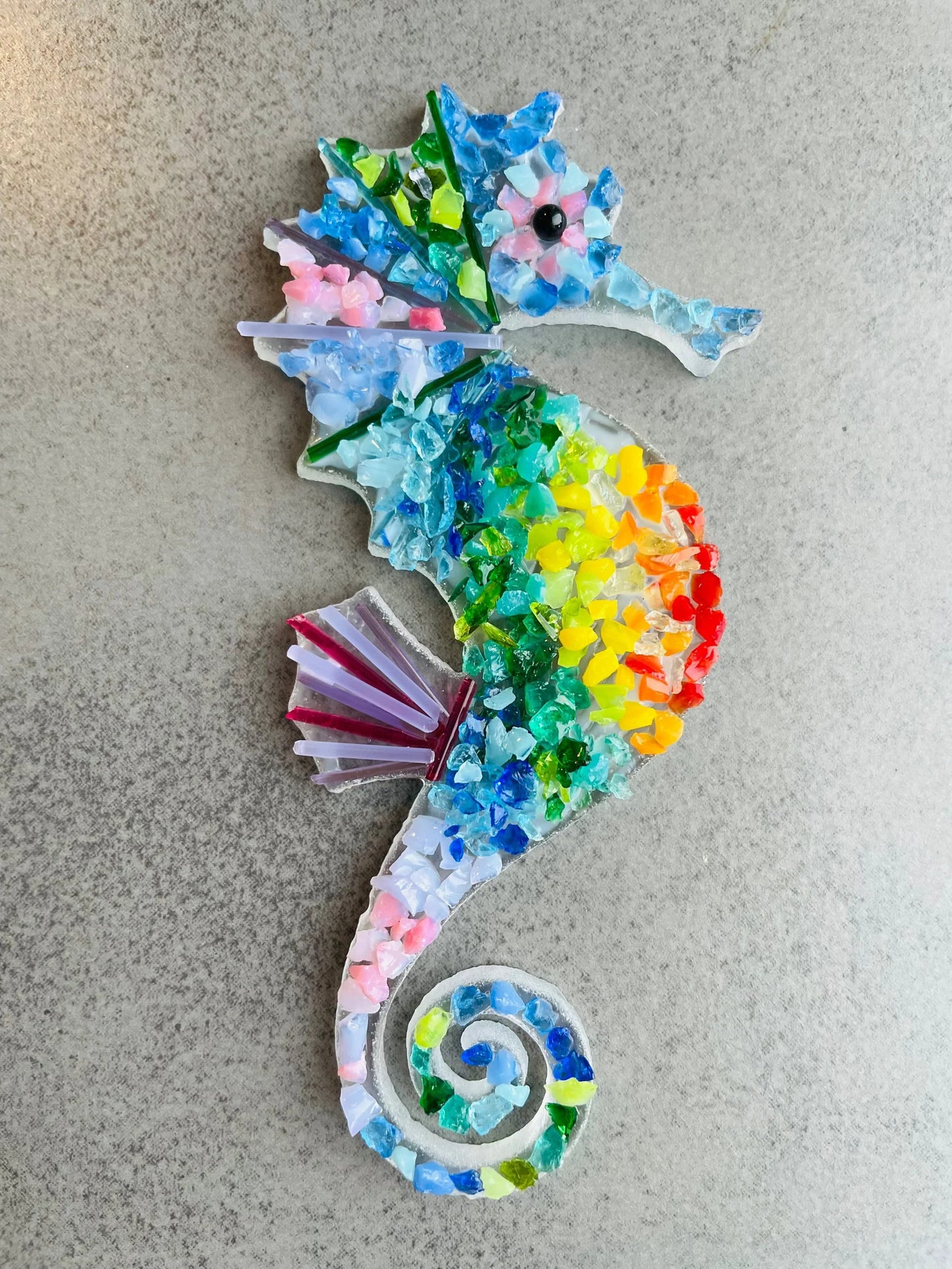 Seahorse Kit