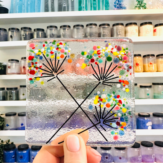 Allium Coaster Kit