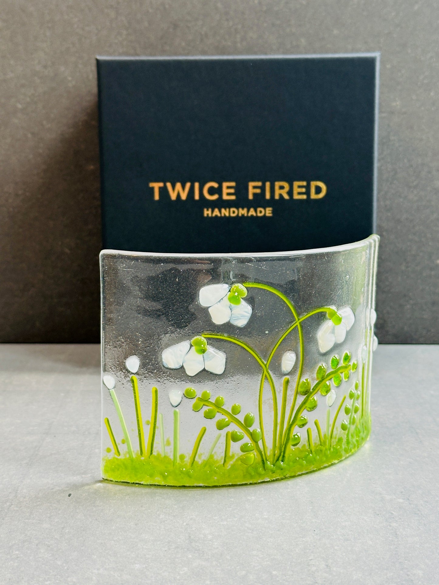 Snowdrop glass medium curve