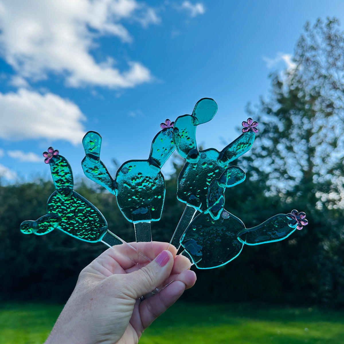 cactus plant pot stakes - Supper Seconds